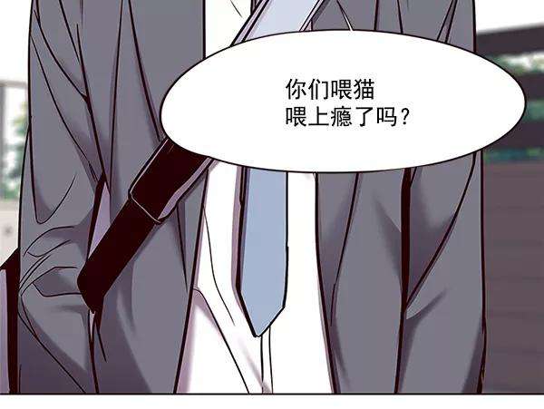 觉醒吧，铲屎官！100话