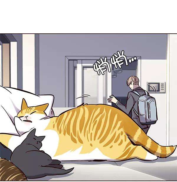 觉醒吧，铲屎官！100话