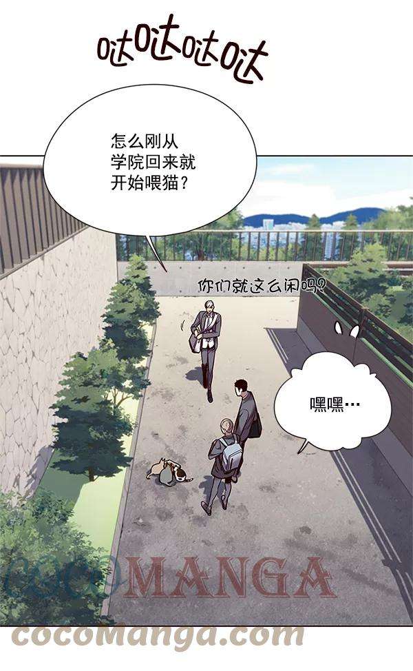 觉醒吧，铲屎官！100话