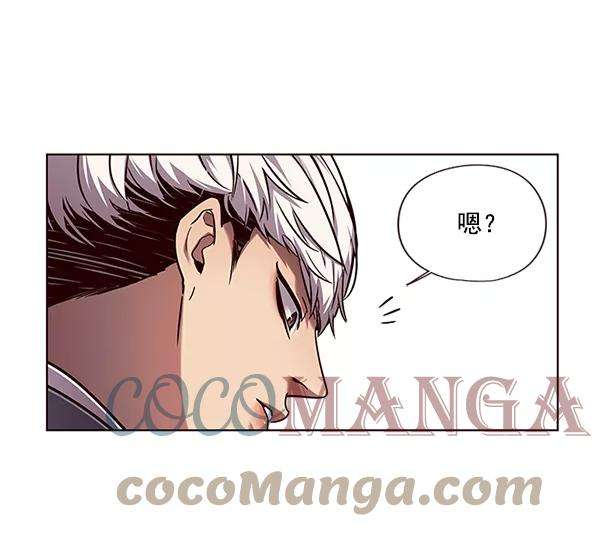 觉醒吧，铲屎官！100话