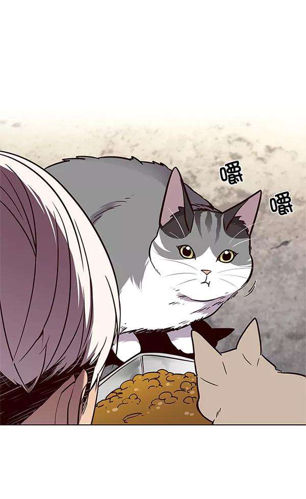 觉醒吧，铲屎官！100话