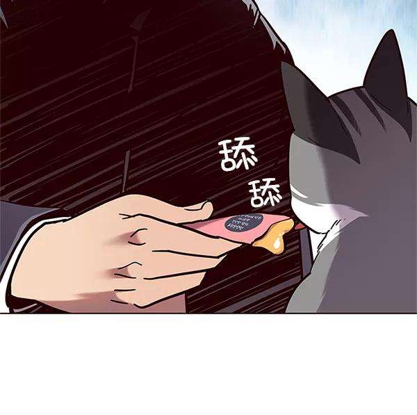 觉醒吧，铲屎官！100话