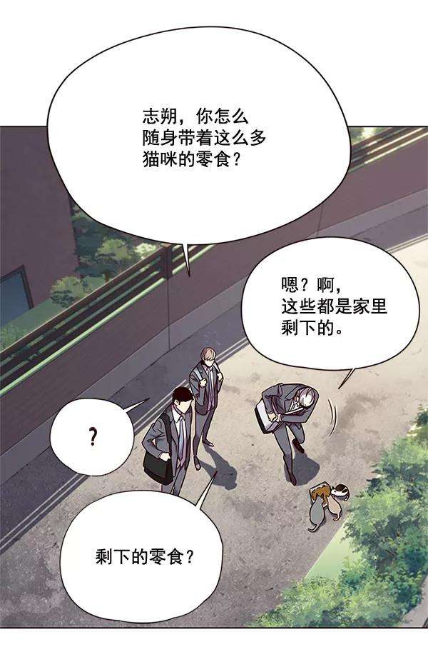 觉醒吧，铲屎官！100话