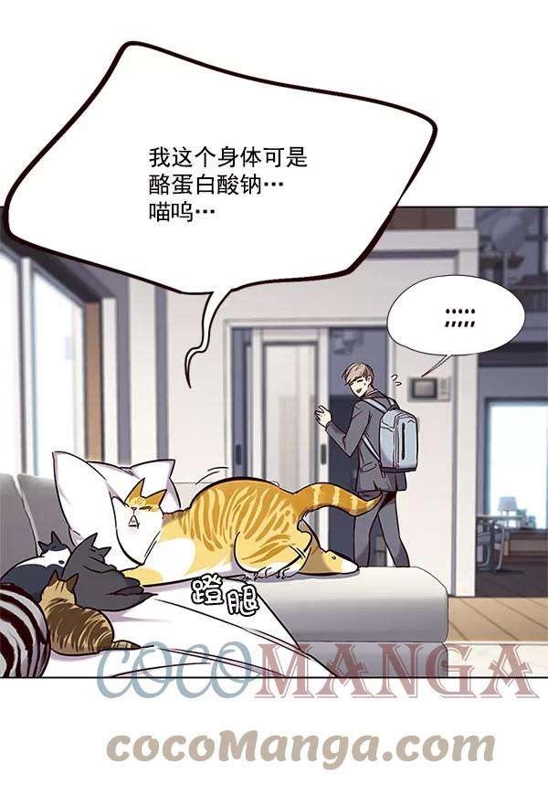 觉醒吧，铲屎官！100话