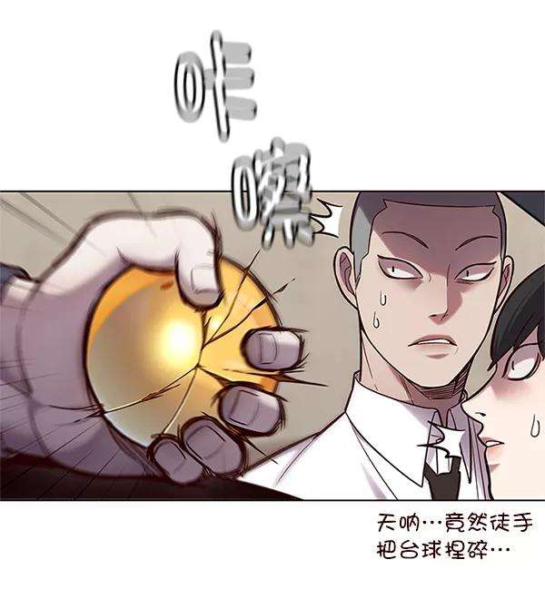 觉醒吧，铲屎官！100话