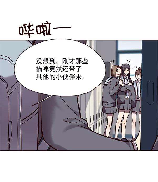 觉醒吧，铲屎官！100话