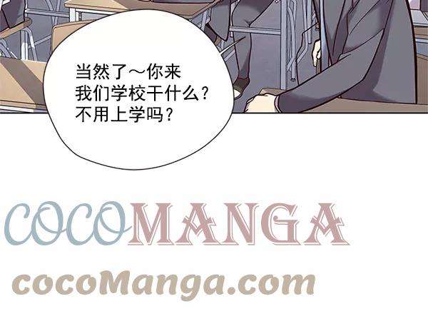 觉醒吧，铲屎官！100话