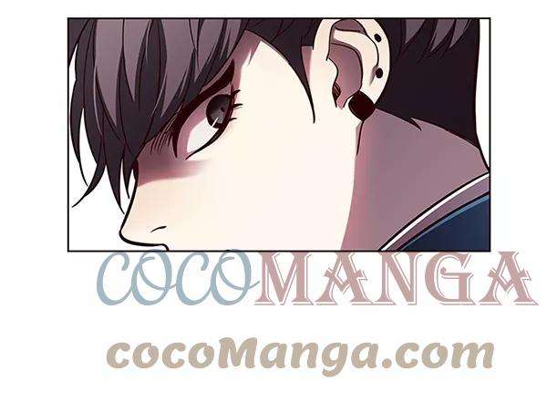 觉醒吧，铲屎官！100话