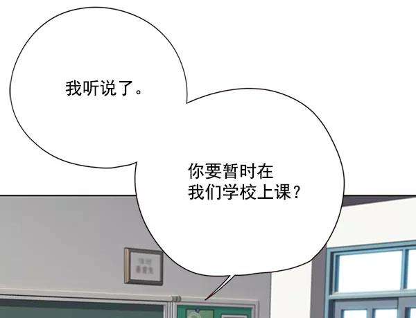 觉醒吧，铲屎官！100话