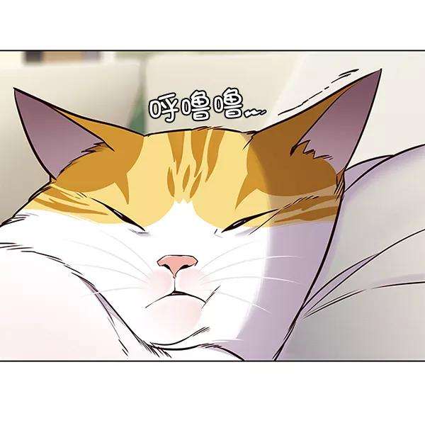 觉醒吧，铲屎官！101话