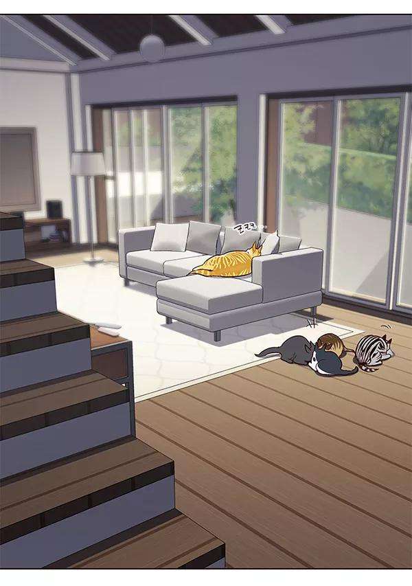 觉醒吧，铲屎官！101话