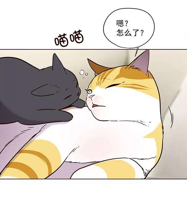 觉醒吧，铲屎官！101话