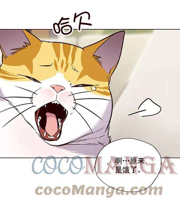 觉醒吧，铲屎官！101话