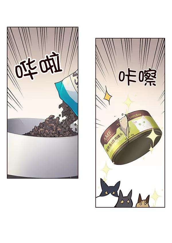 觉醒吧，铲屎官！101话