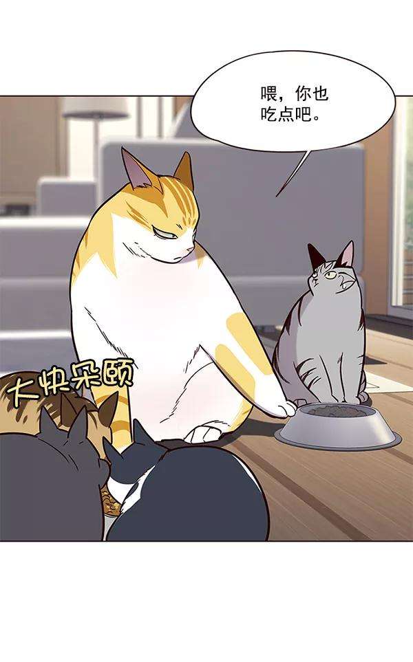 觉醒吧，铲屎官！101话