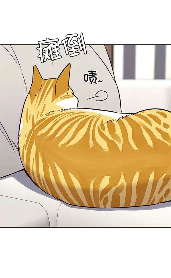 觉醒吧，铲屎官！101话