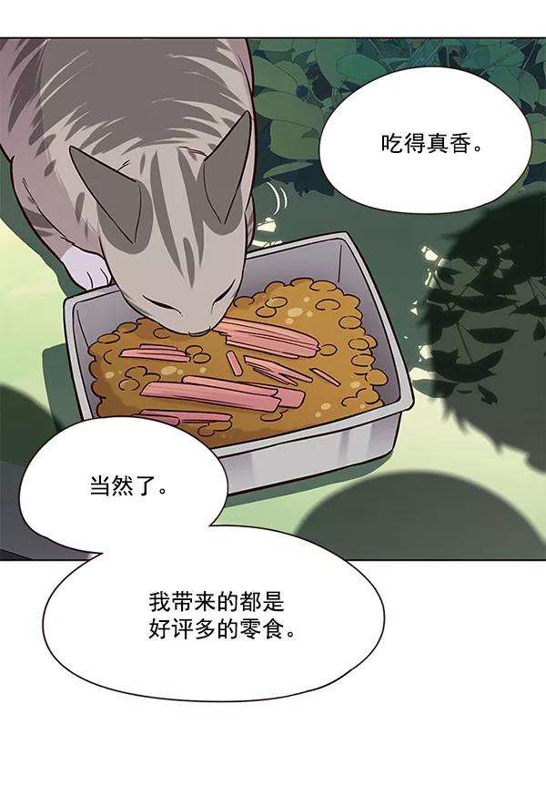 觉醒吧，铲屎官！103话