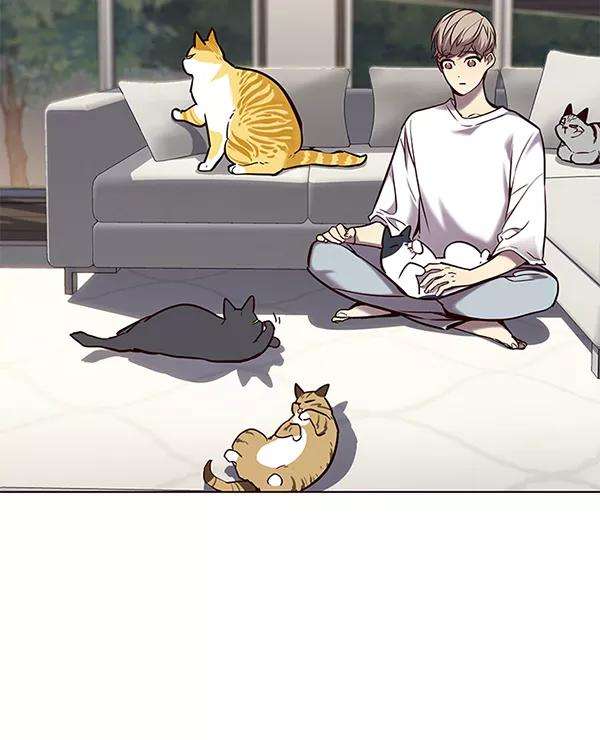 觉醒吧，铲屎官！104话