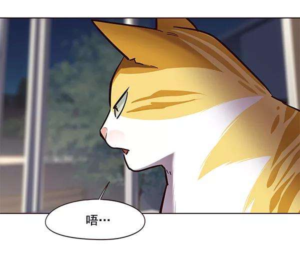 觉醒吧，铲屎官！104话