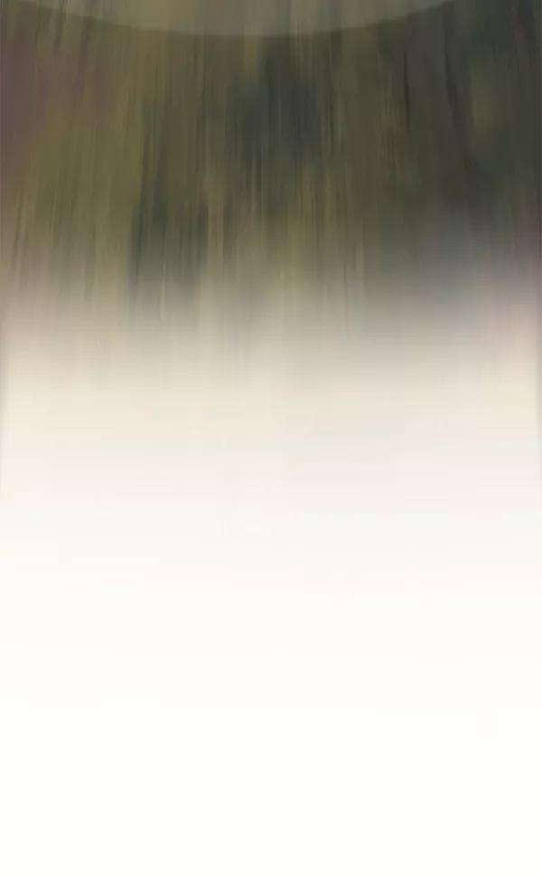 觉醒吧，铲屎官！105话