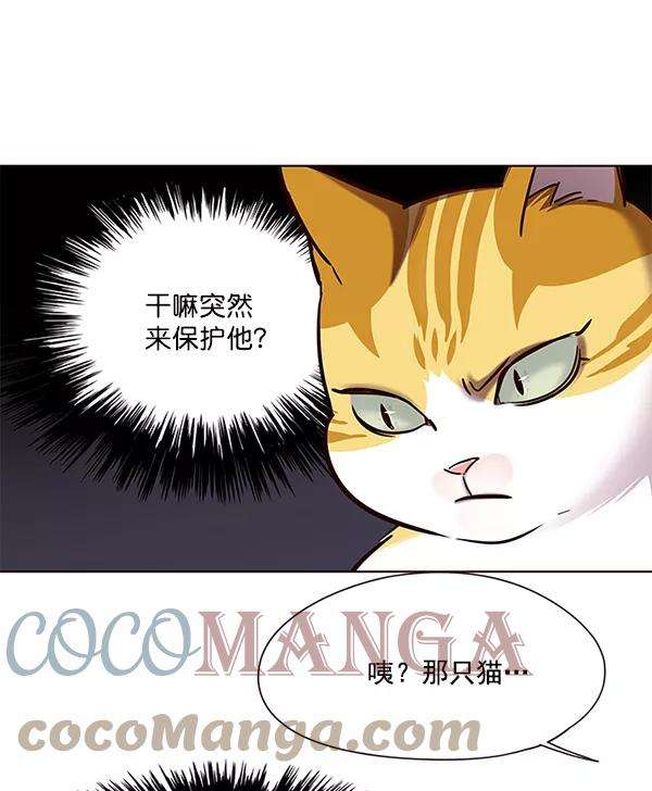 觉醒吧，铲屎官！105话