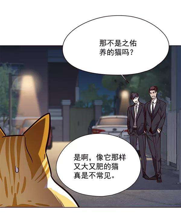 觉醒吧，铲屎官！105话