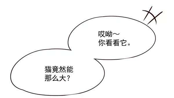 觉醒吧，铲屎官！105话