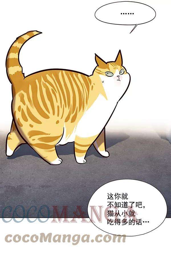 觉醒吧，铲屎官！105话