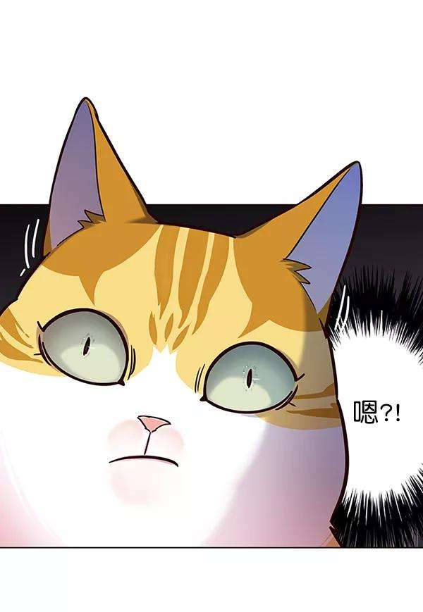 觉醒吧，铲屎官！105话