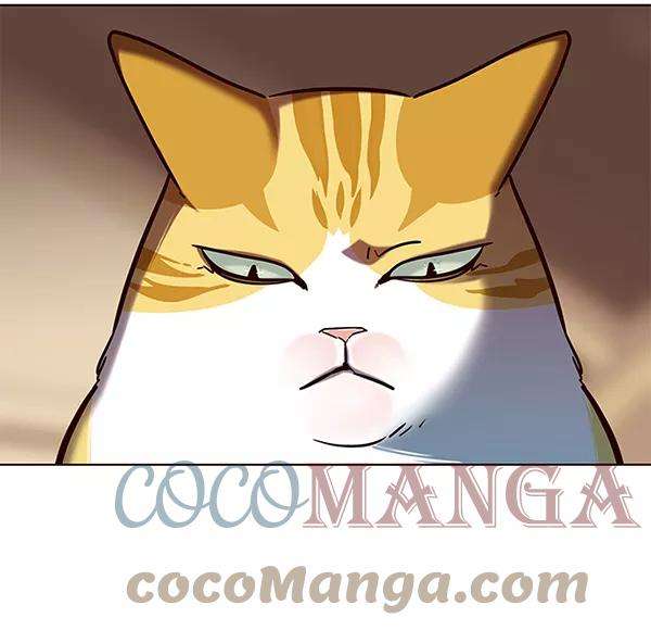 觉醒吧，铲屎官！106话