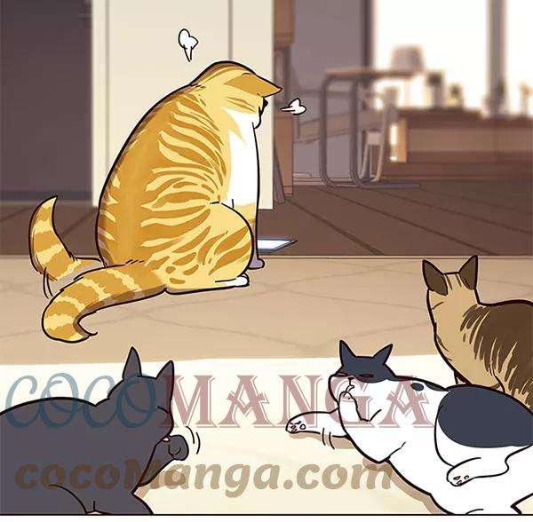 觉醒吧，铲屎官！106话