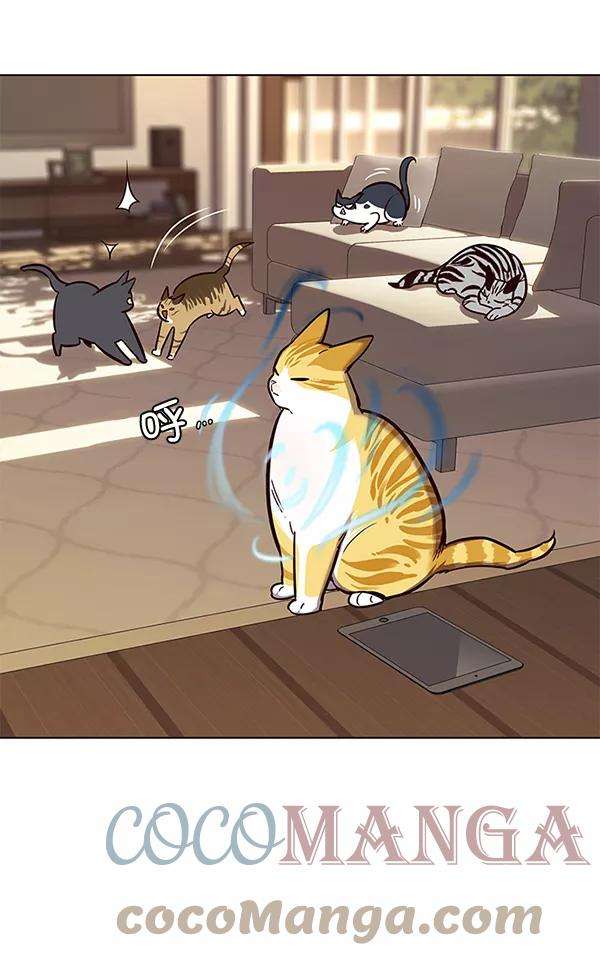 觉醒吧，铲屎官！106话