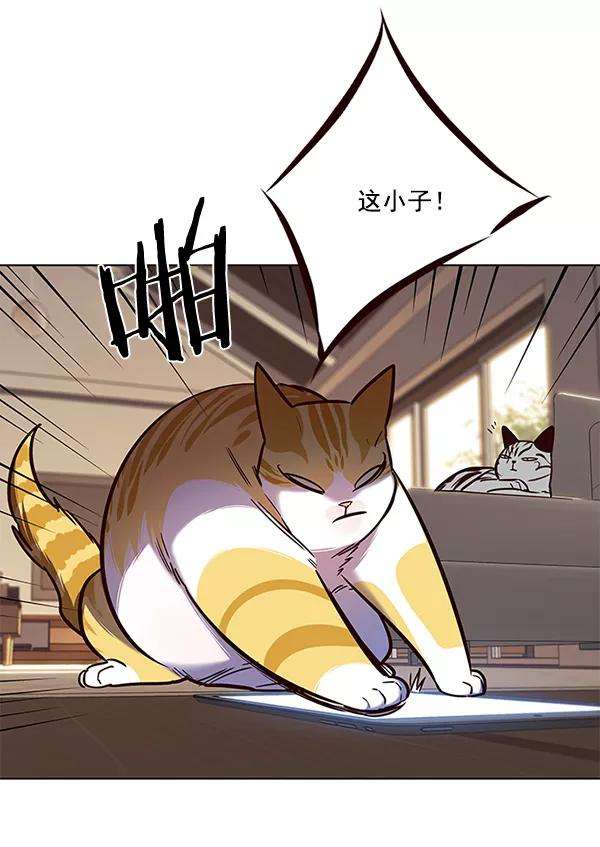 觉醒吧，铲屎官！106话