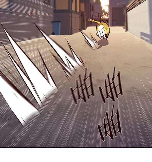 觉醒吧，铲屎官！109话