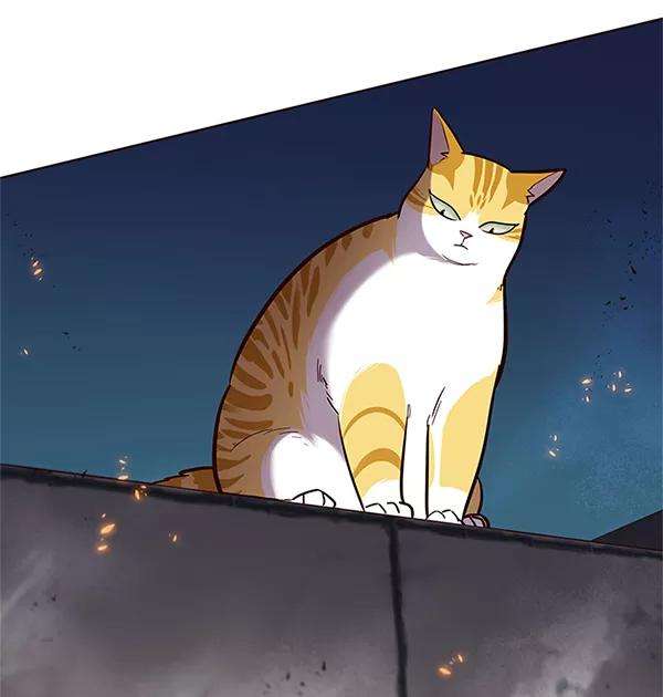 觉醒吧，铲屎官！110话