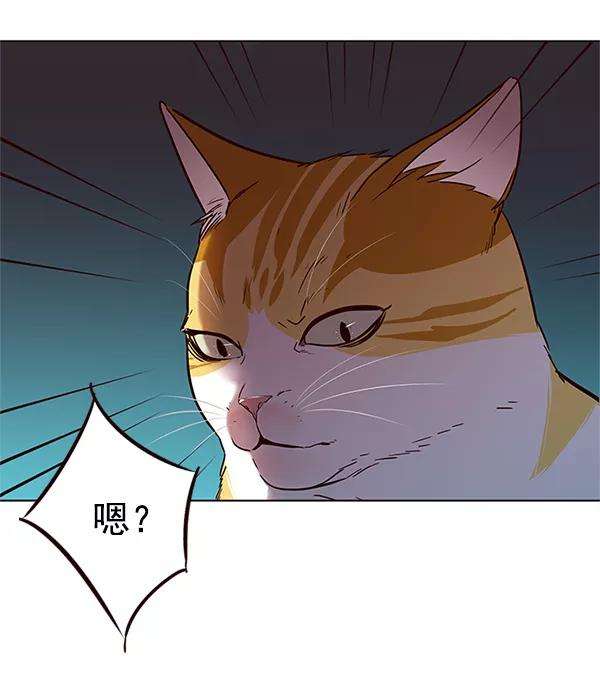 觉醒吧，铲屎官！110话