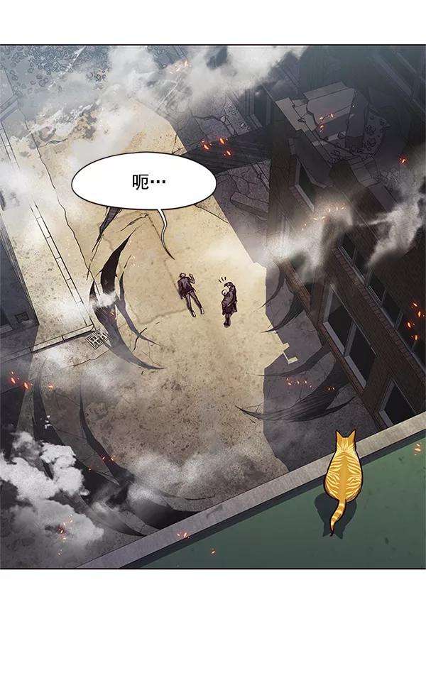 觉醒吧，铲屎官！111话