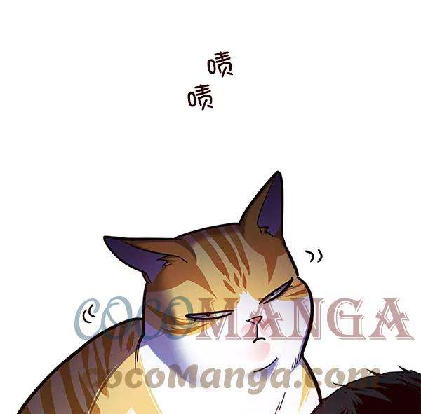 觉醒吧，铲屎官！112话