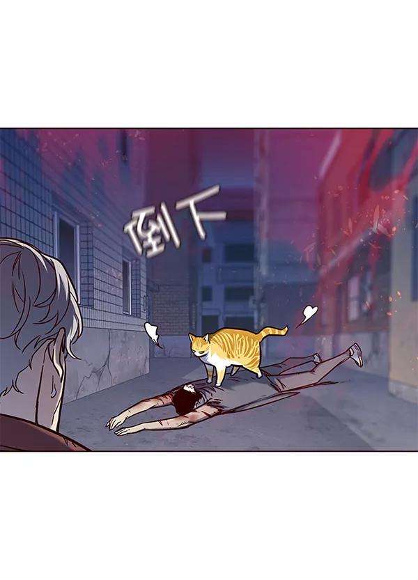 觉醒吧，铲屎官！112话