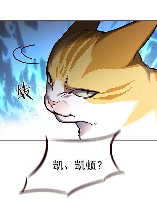 觉醒吧，铲屎官！112话