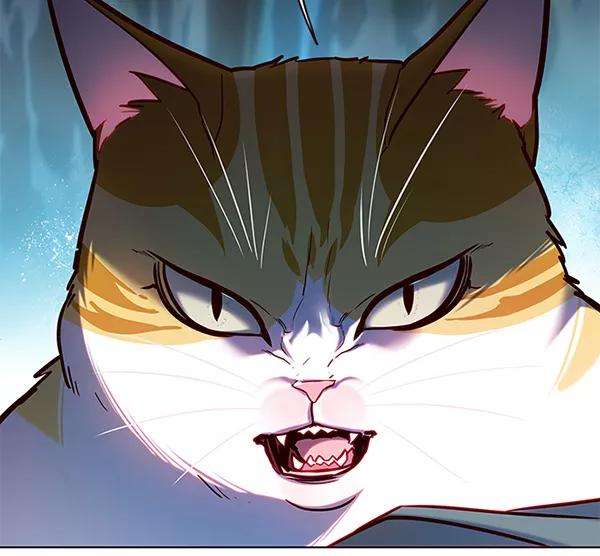 觉醒吧，铲屎官！112话