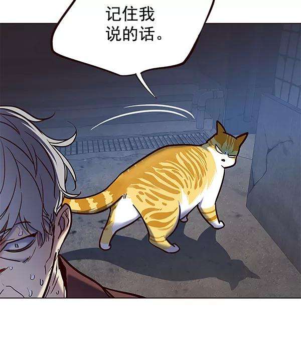 觉醒吧，铲屎官！112话