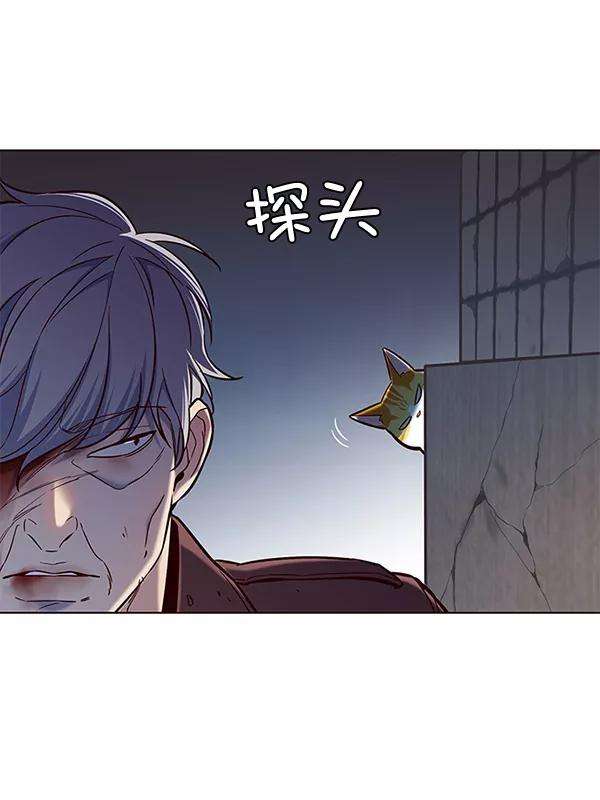 觉醒吧，铲屎官！112话