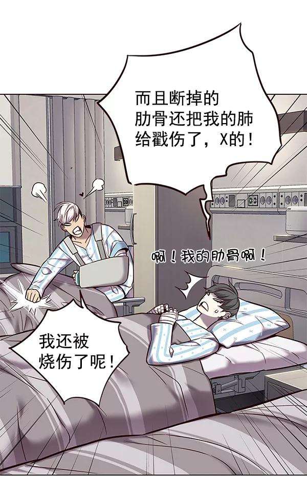 觉醒吧，铲屎官！113话