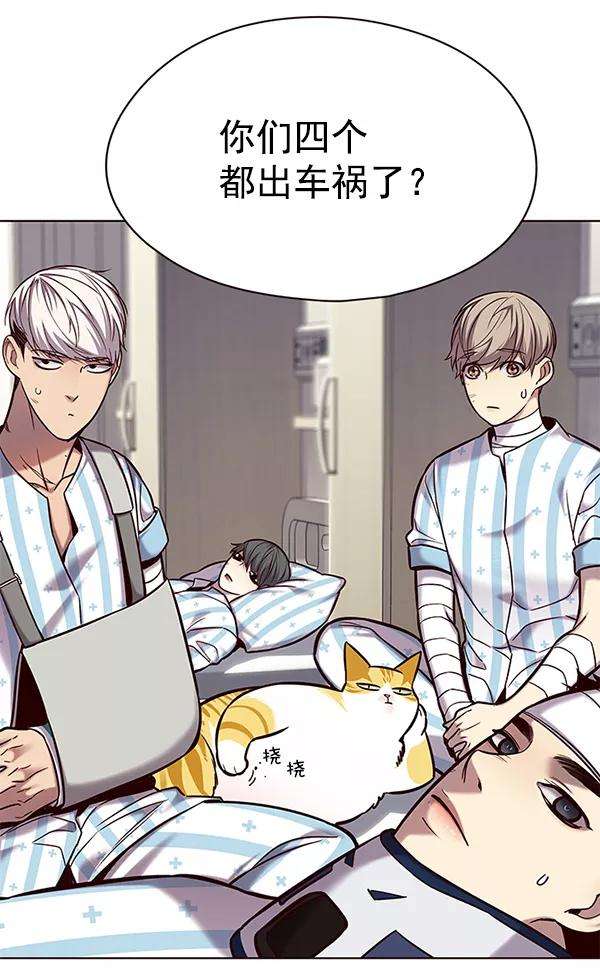 觉醒吧，铲屎官！114话