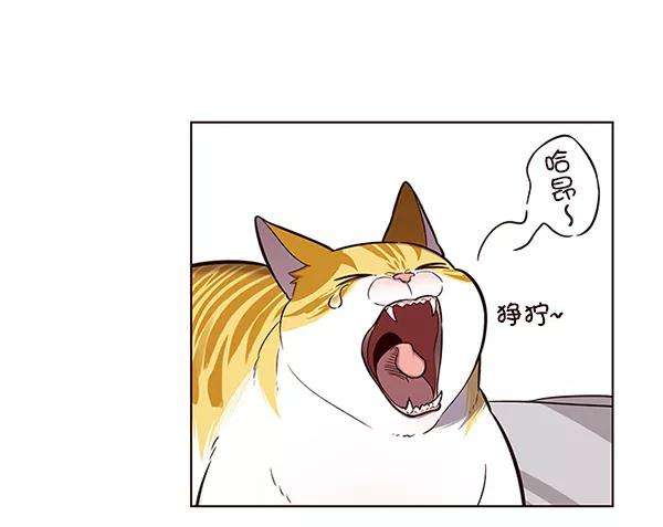 觉醒吧，铲屎官！114话