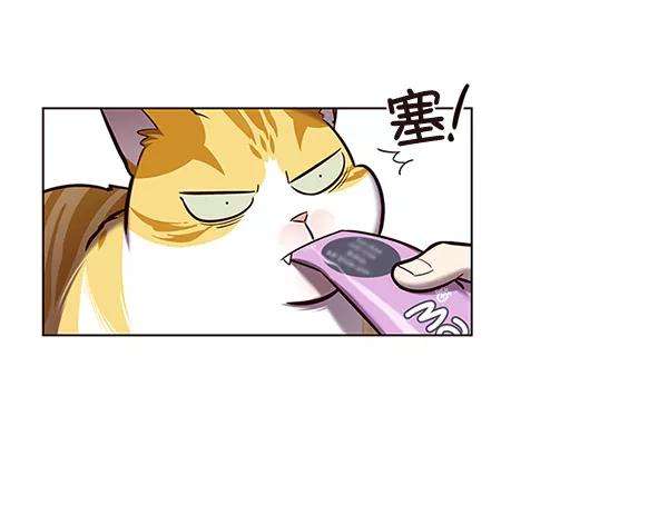 觉醒吧，铲屎官！114话