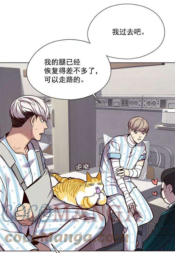 觉醒吧，铲屎官！114话