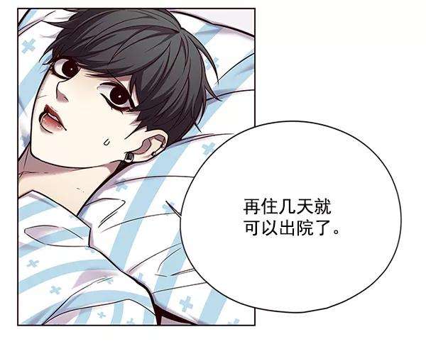 觉醒吧，铲屎官！114话