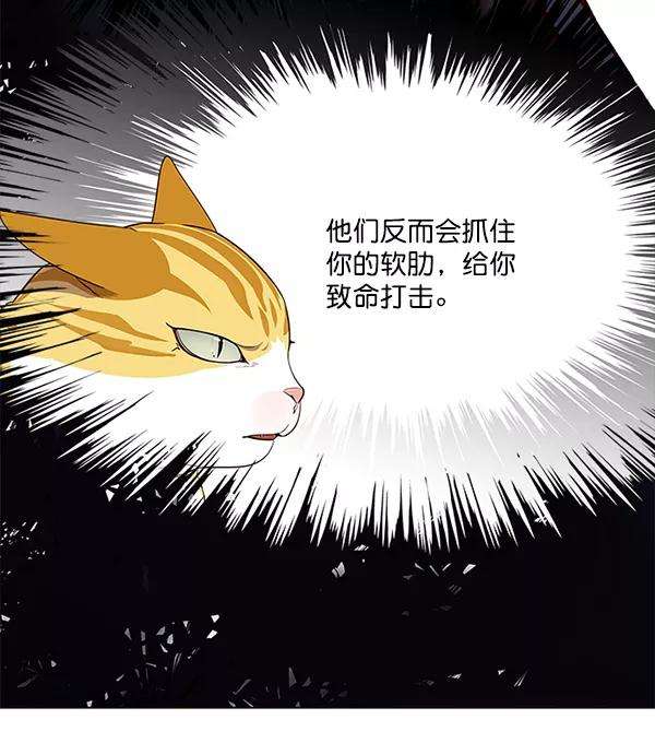 觉醒吧，铲屎官！114话